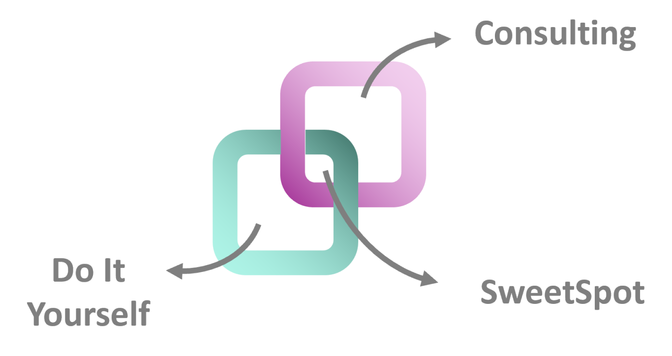 Diagramm mit den Begriffen „Consulting“, „Do It Yourself“, die sich überschneiden. Die Mitte bildet den "SweetSpot"